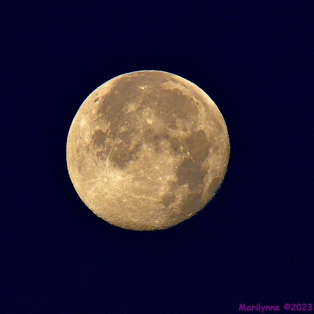DSC_1033_001.JPG