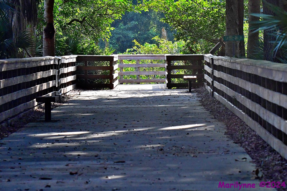 dsc_1033_001-jpg.410322