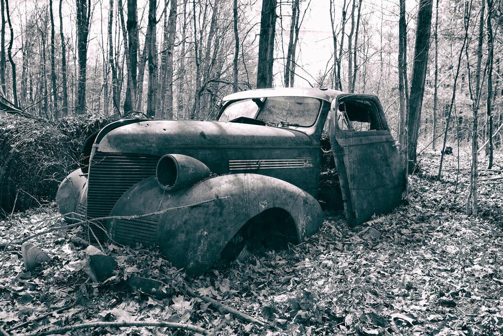 DSC_1034.jpg