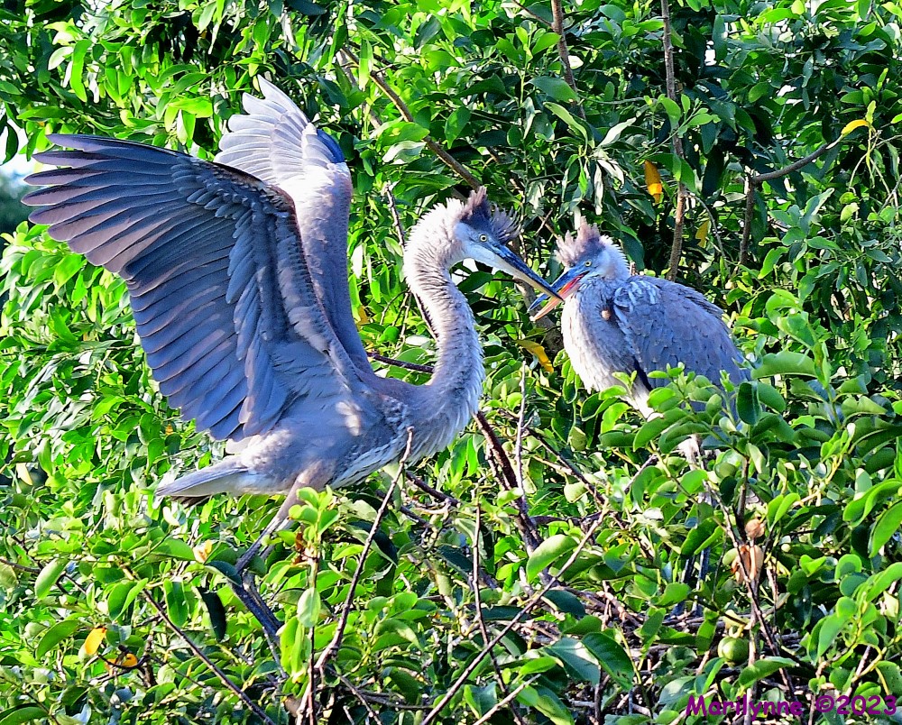 DSC_1035_001.JPG