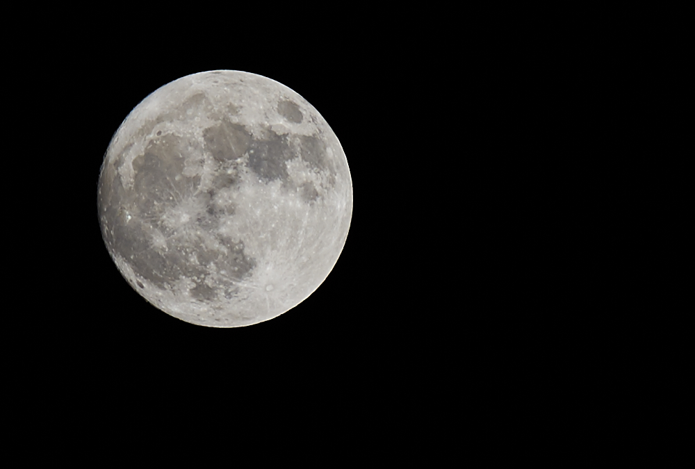 DSC_1040.jpg