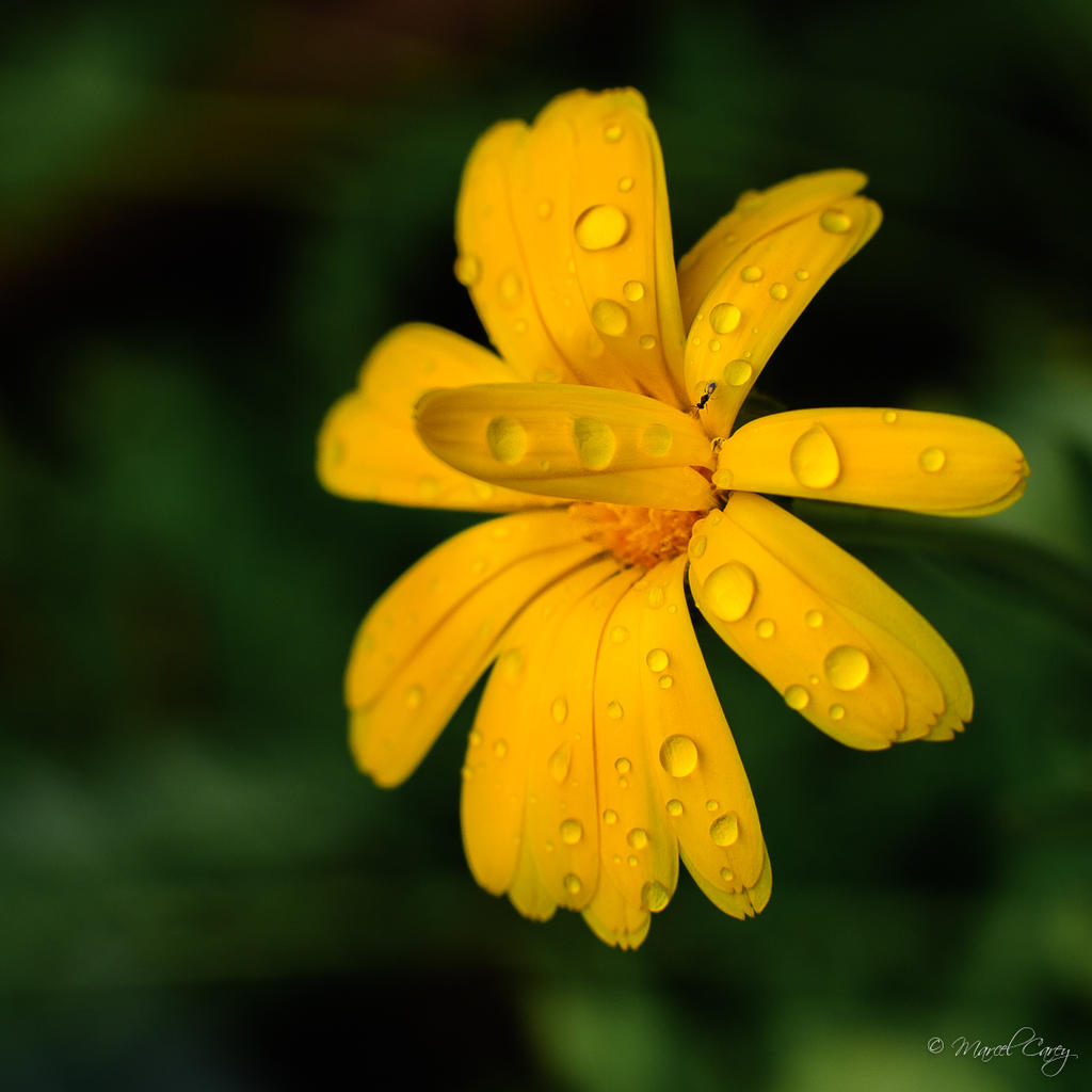DSC_1042.jpg