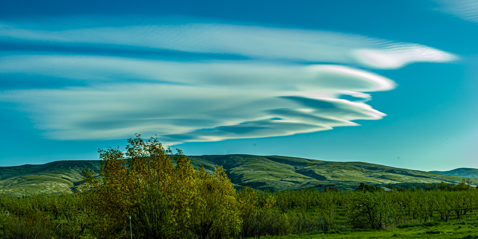DSC_1042-Pano.jpg