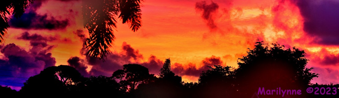 DSC_1043_stitch7_001.JPG