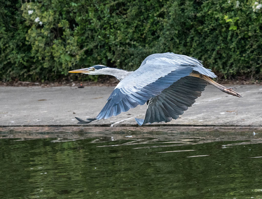 DSC_1047.jpg