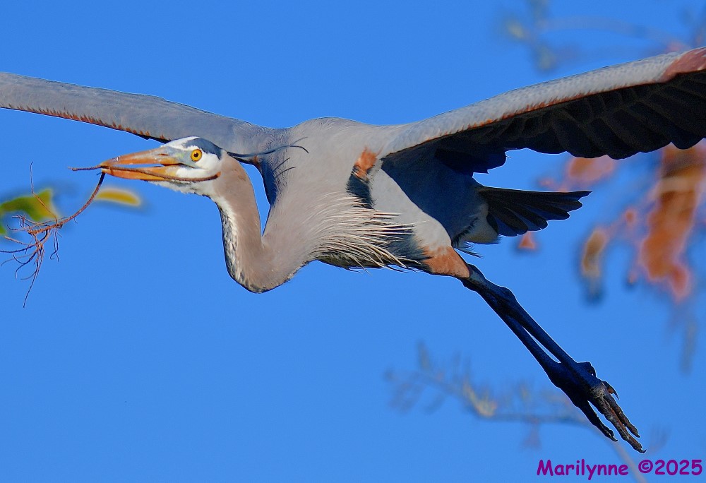 DSC_1049_001.JPG