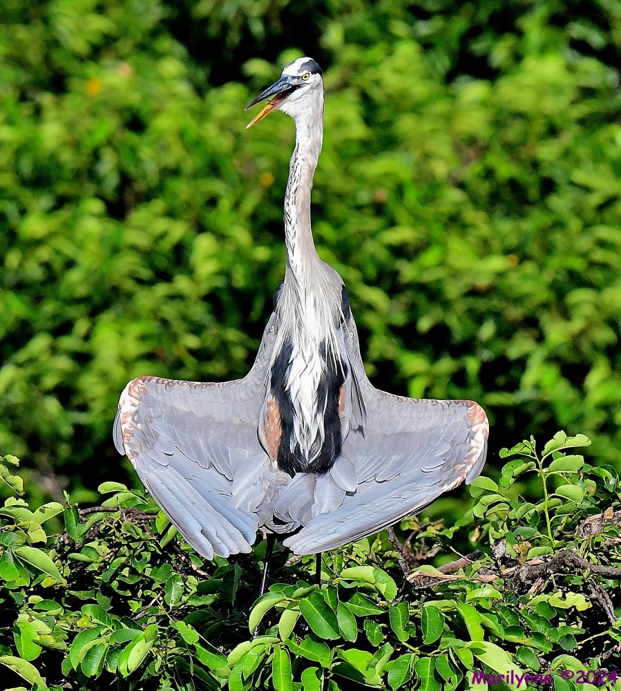 DSC_1053_001.JPG
