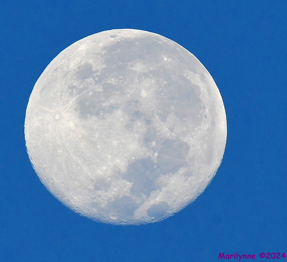 DSC_1055_stitch3_001.JPG