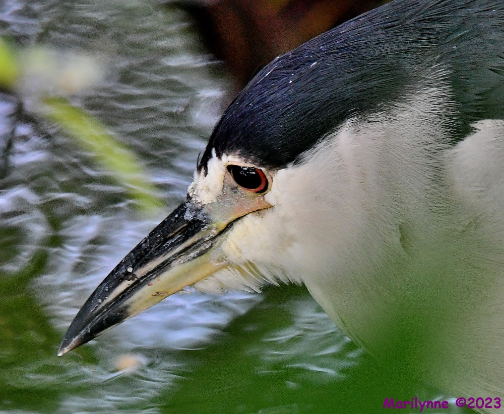 DSC_1058_001.JPG