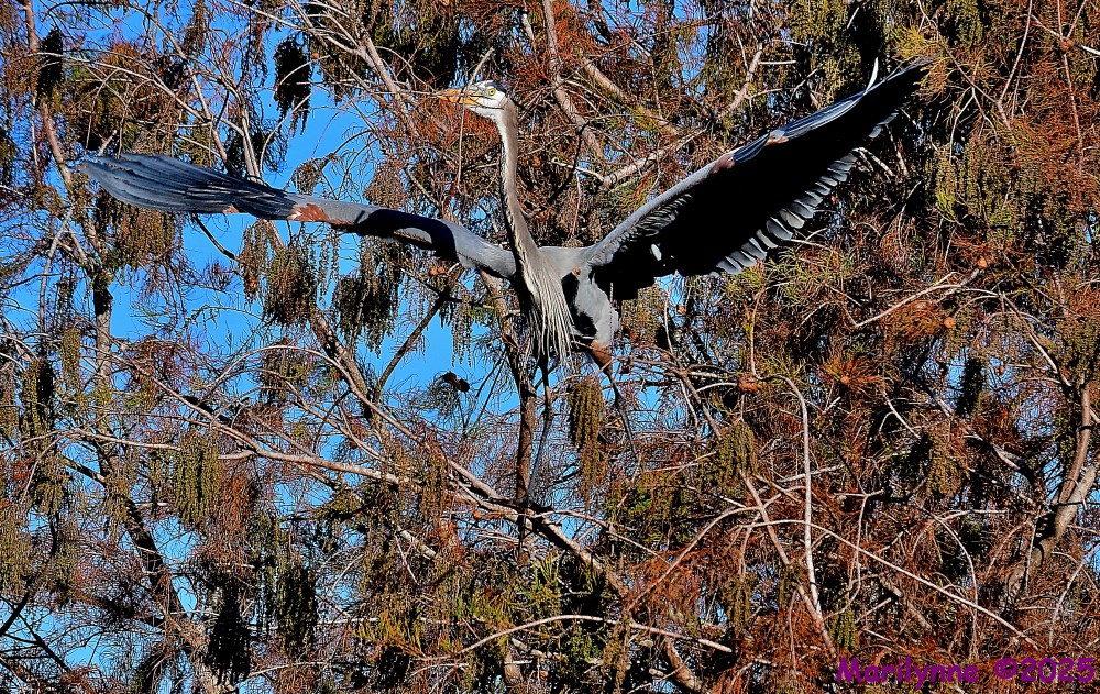 DSC_1058_001.JPG