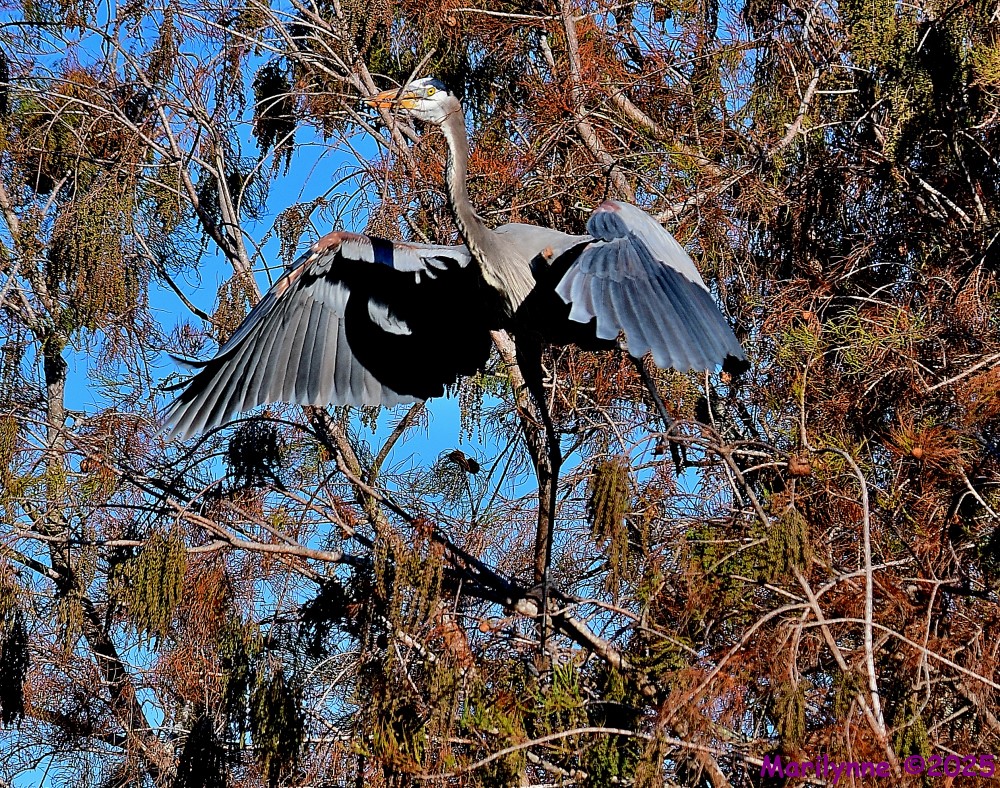 DSC_1059_001.JPG