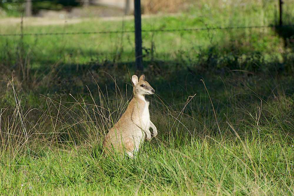 DSC_1069.jpg