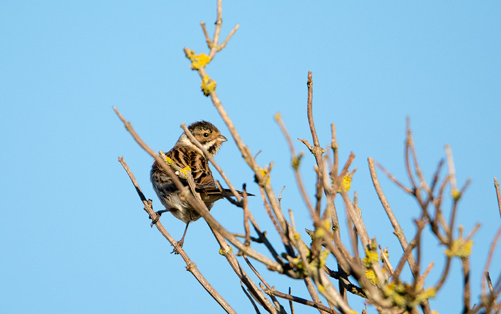 DSC_1070.jpg
