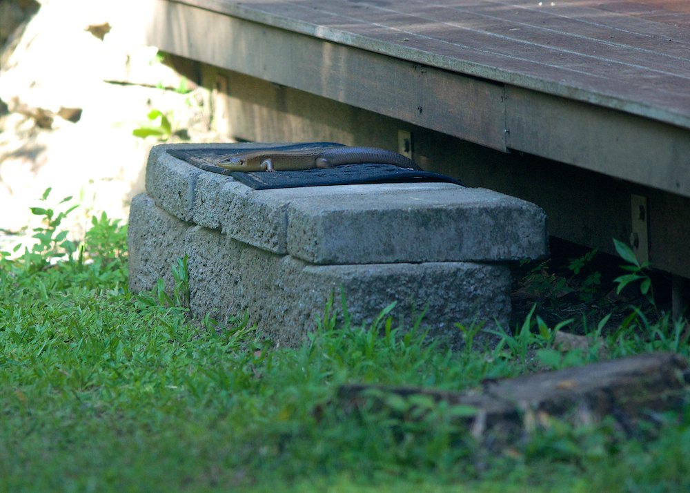 DSC_1070.jpg
