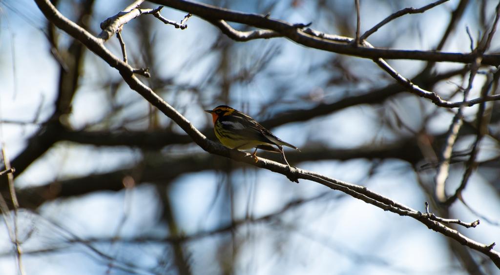 DSC_1070.jpg