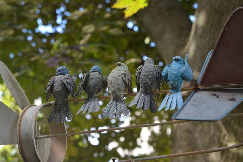 DSC_1071.jpg