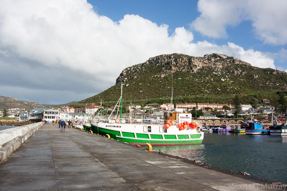 DSC_1075.jpg