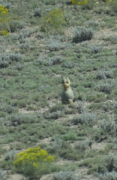 DSC_1075.JPG
