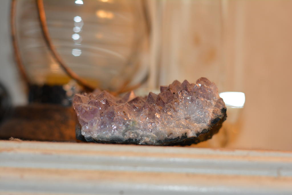 DSC_1078.jpg