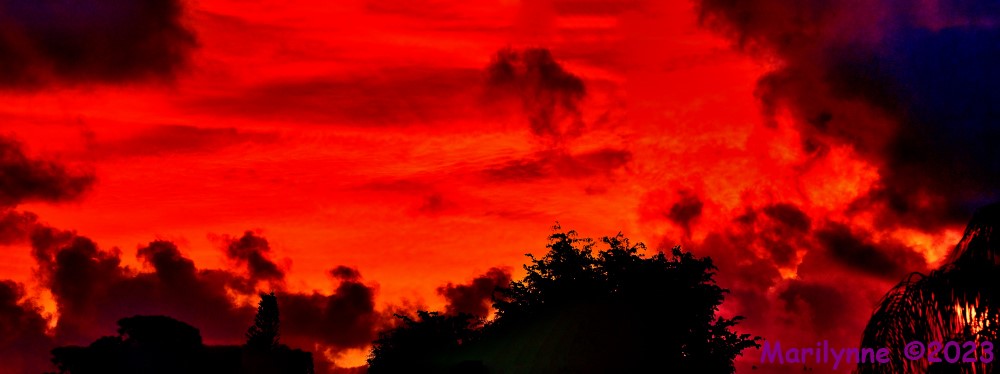 DSC_1092_stitch4_001.JPG