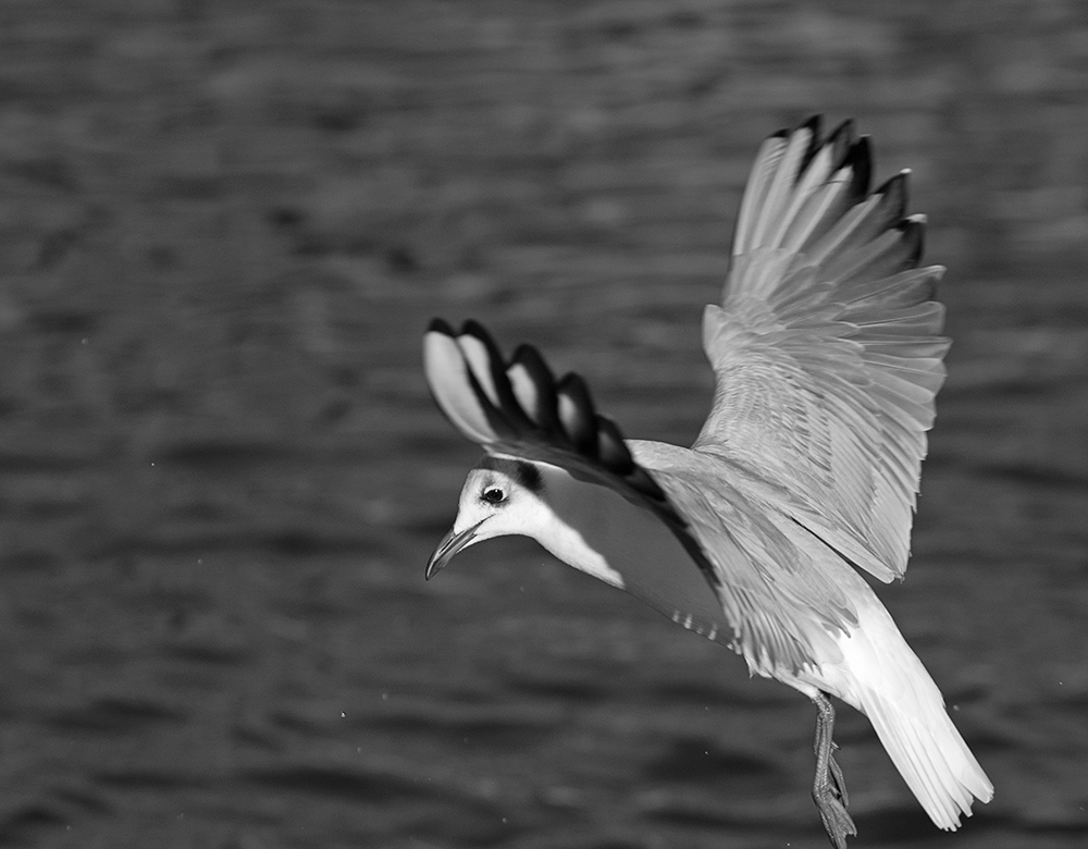 DSC_1094.jpg