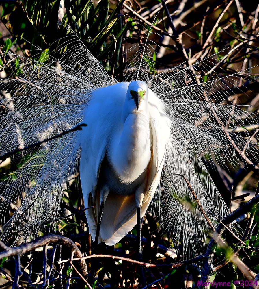 DSC_1094_001.JPG