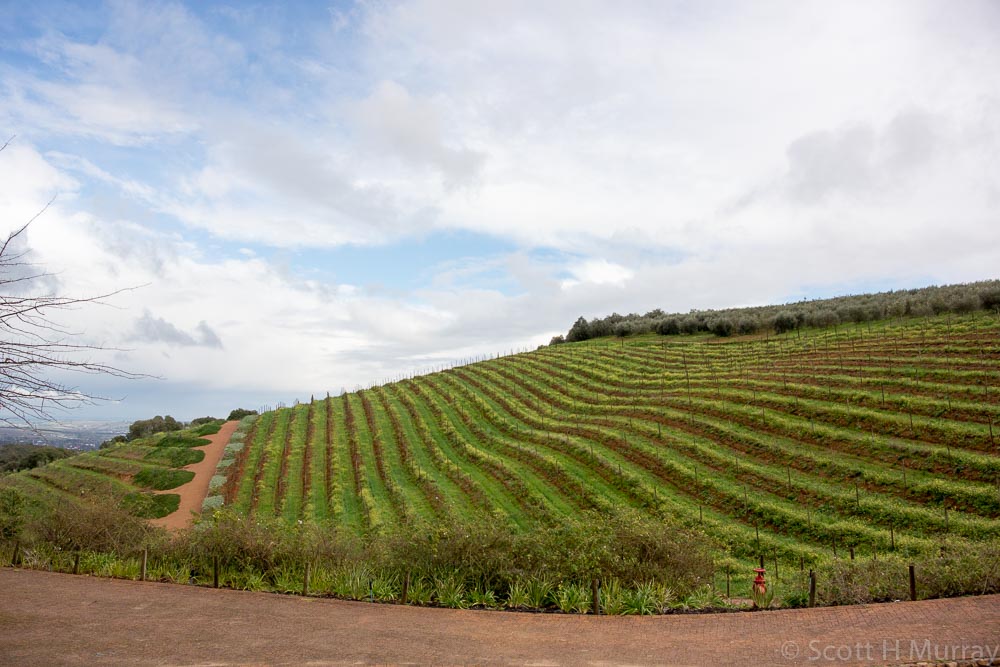 DSC_1097.jpg
