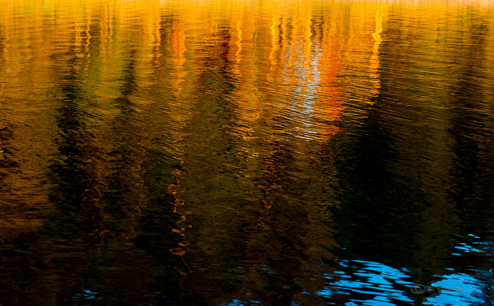 DSC_1098.jpg