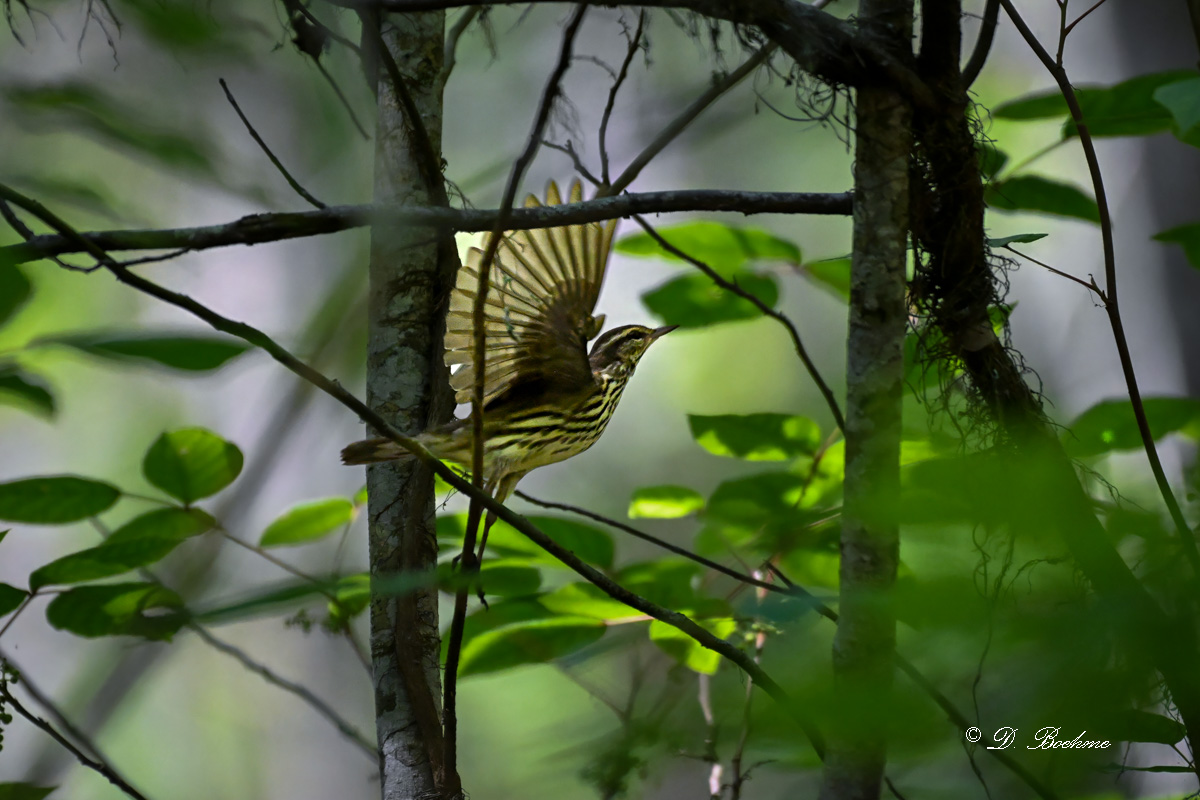 DSC_1102-topaz-denoise-sharpen.jpg