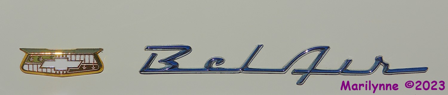 DSC_1106_001.JPG