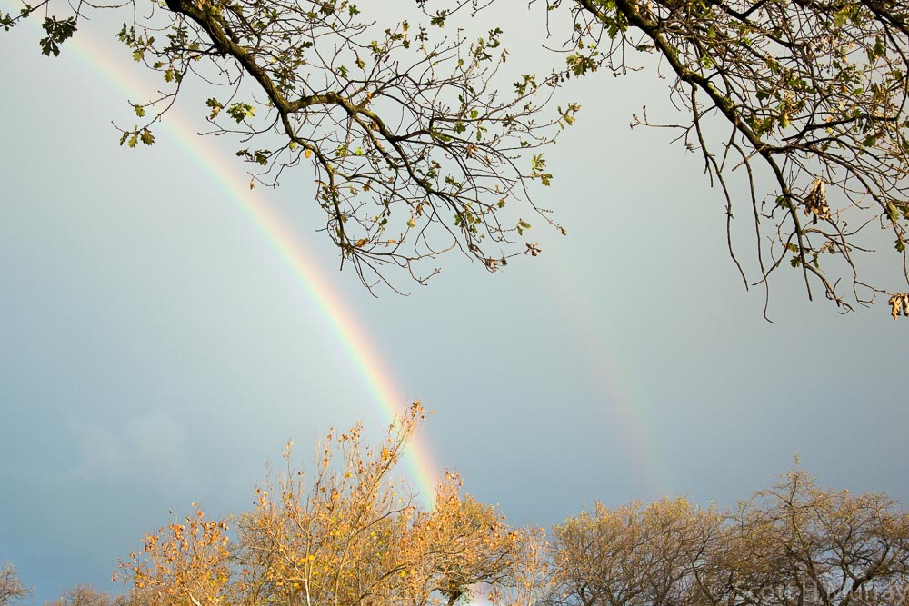 DSC_1107.jpg