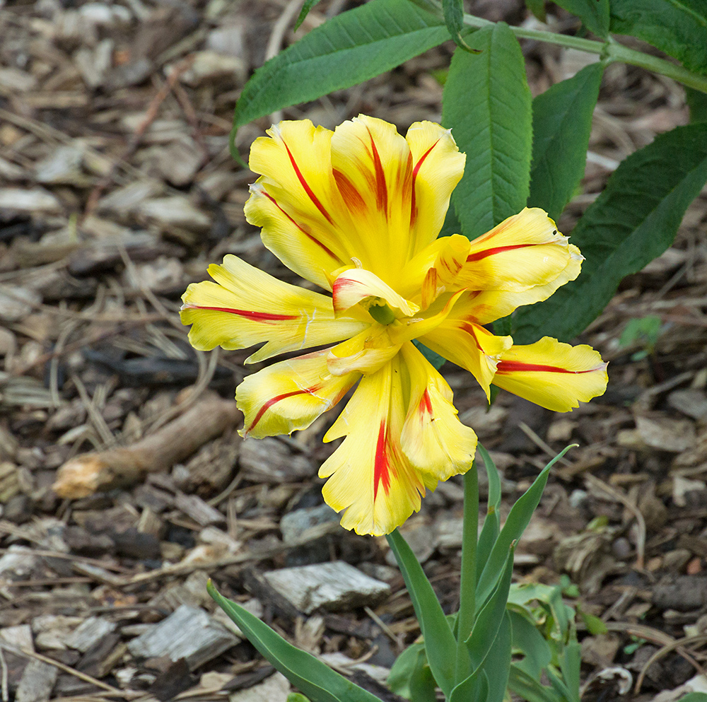 DSC_1107.jpg