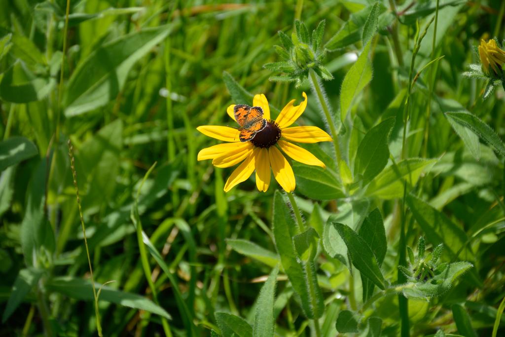 DSC_1113.jpg