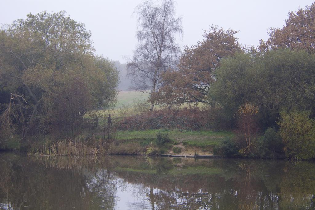 DSC_1113.jpg
