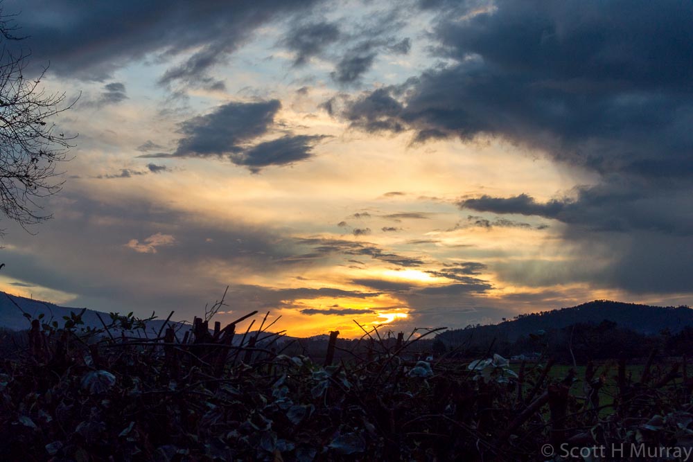 DSC_1114.jpg