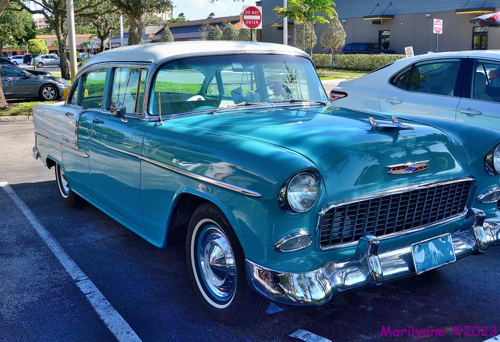 DSC_1116_001.JPG
