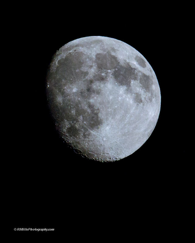 DSC_1116_11592-2.jpg