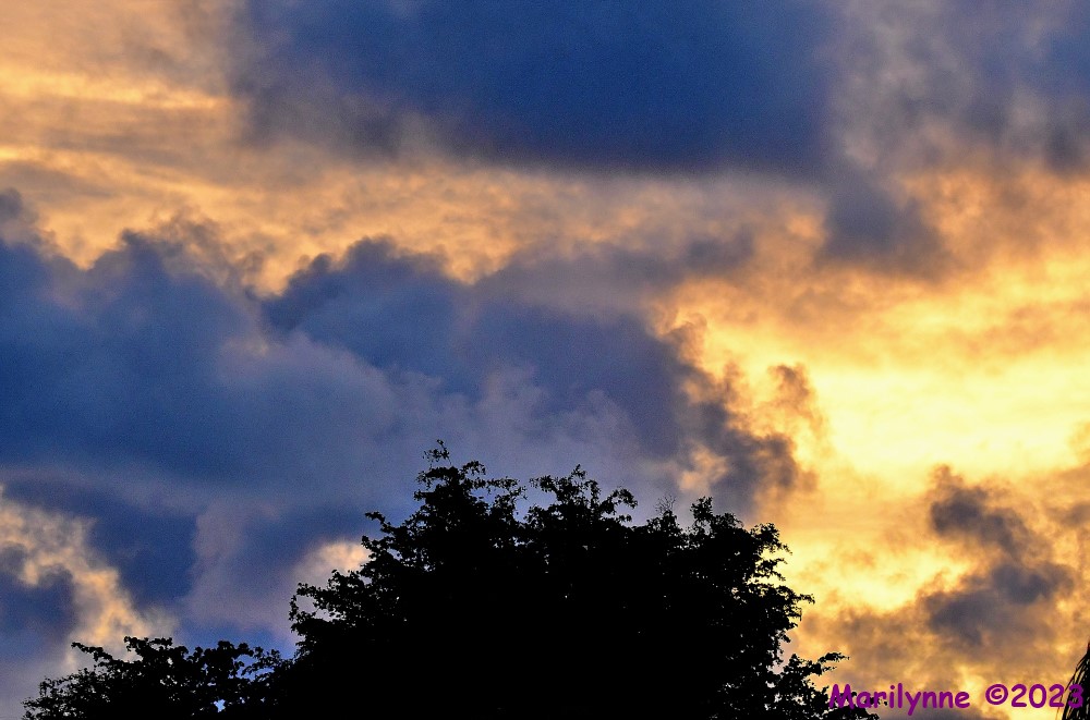 DSC_1116_stitch_001.JPG