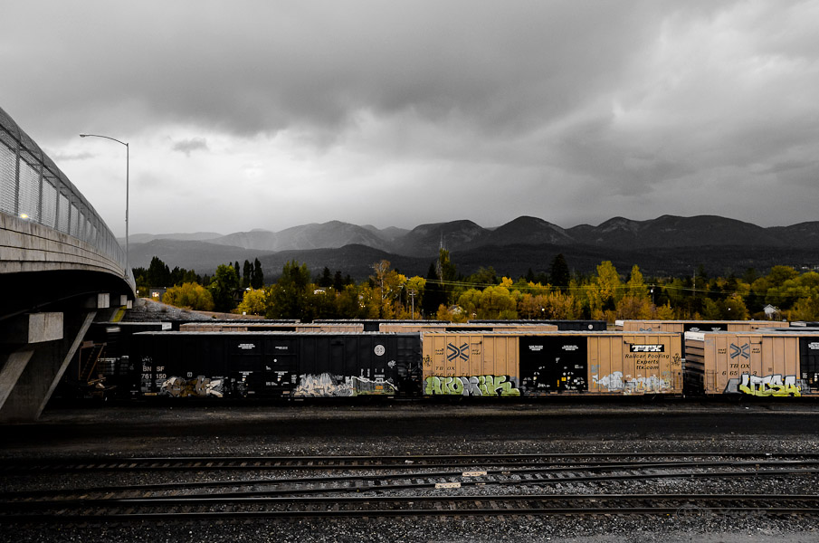 DSC_1118.jpg