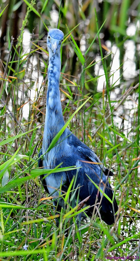 DSC_1120_001.JPG