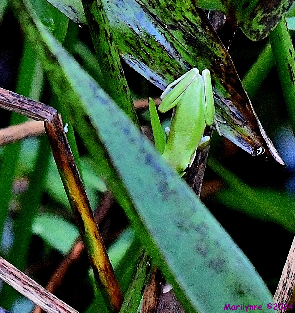 DSC_1122_001.JPG