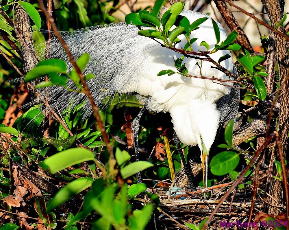 DSC_1123_001.JPG