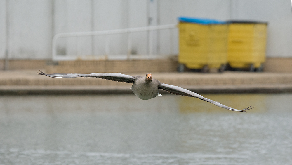 DSC_1124.jpg