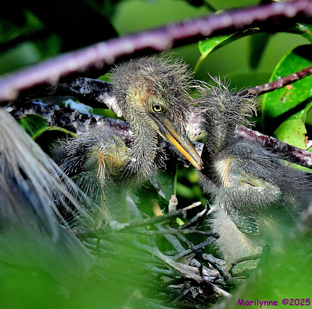 DSC_1124_001.JPG