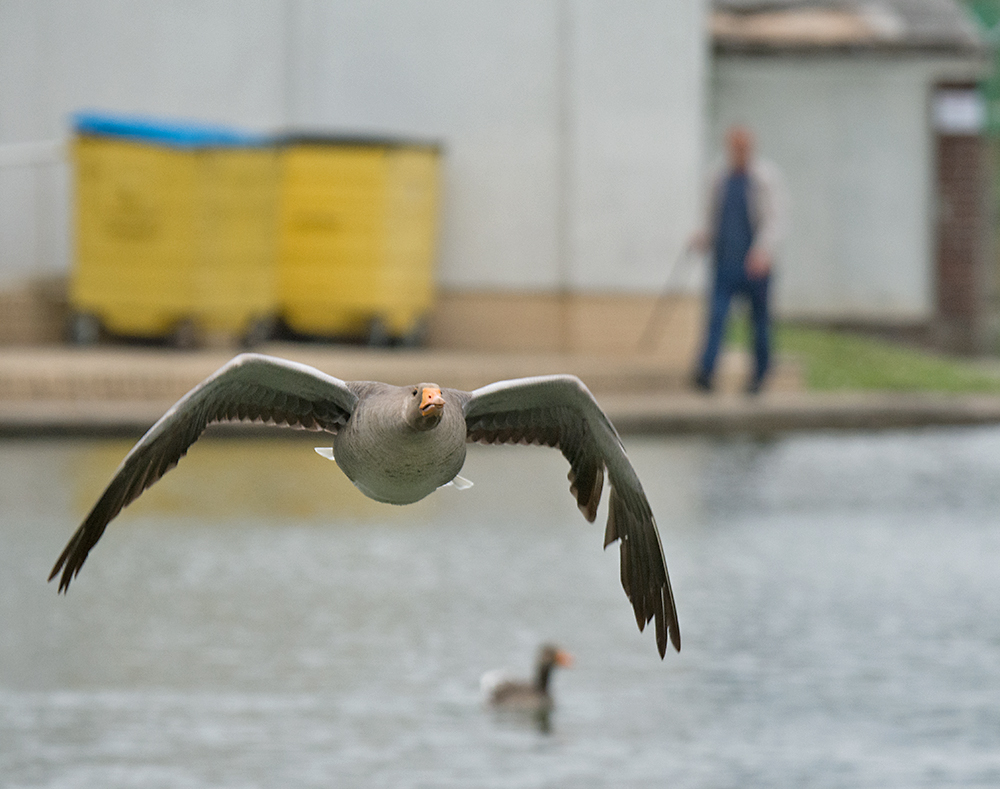 DSC_1125.jpg
