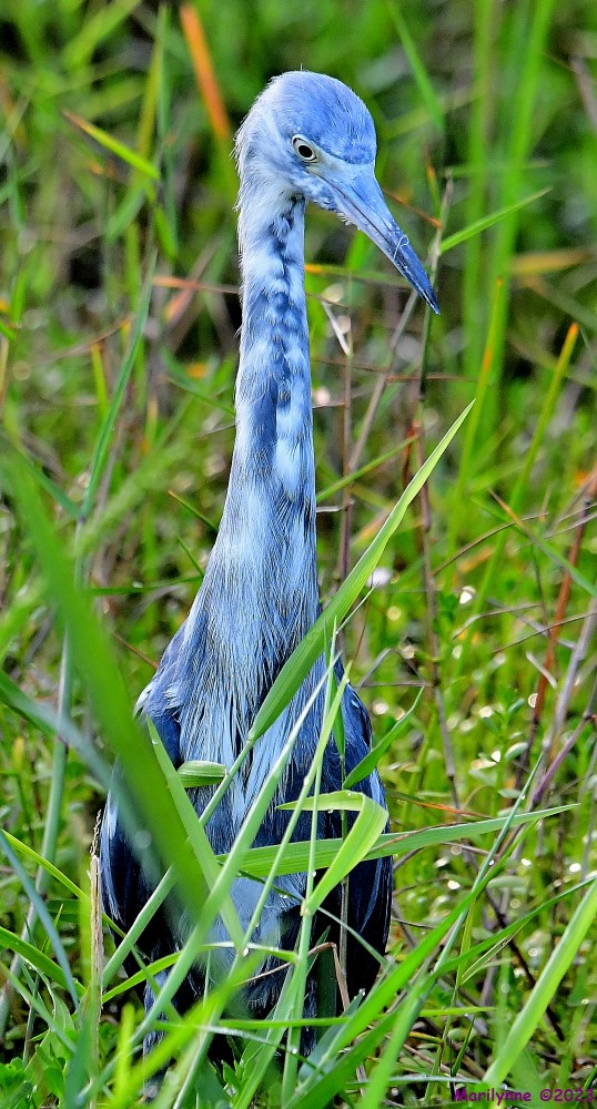 DSC_1125_001.JPG
