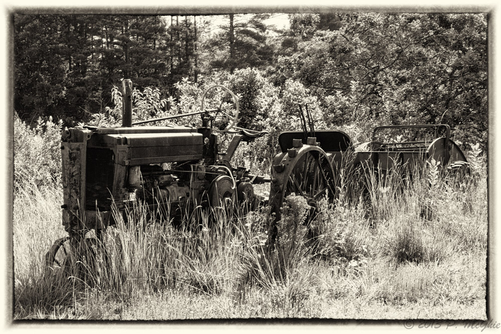DSC_1136-Edit.jpg