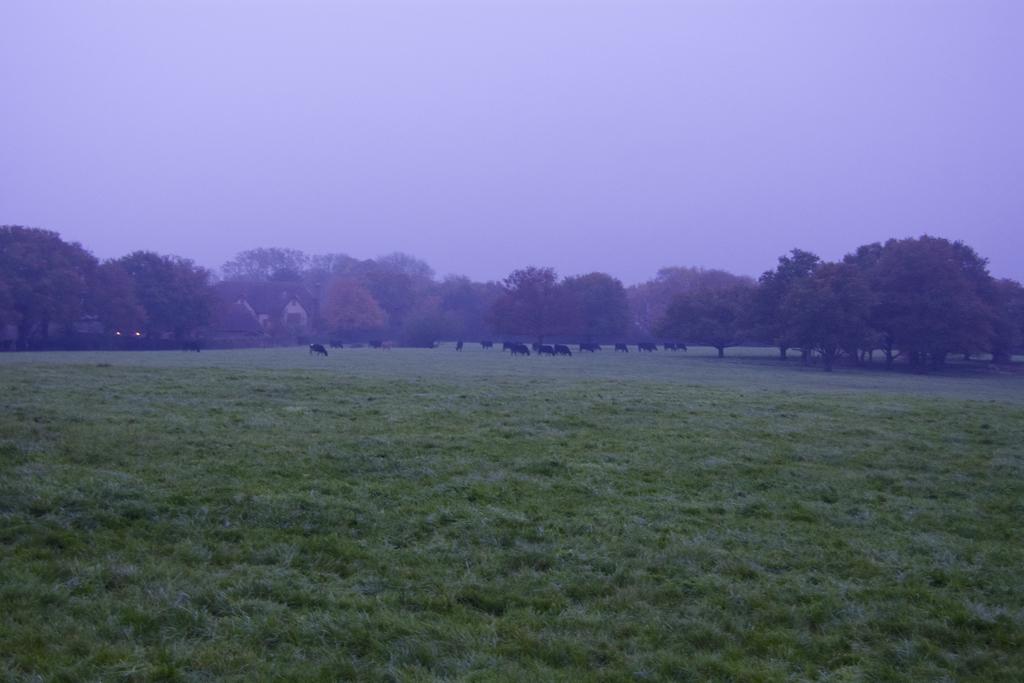 DSC_1136.jpg