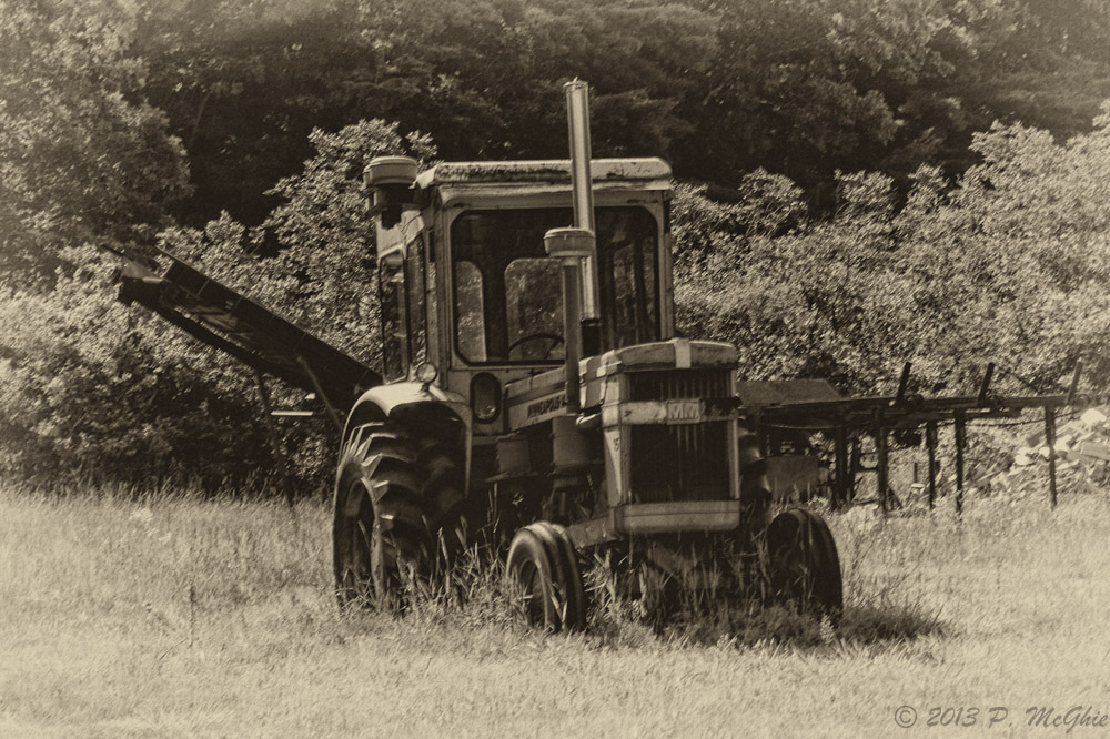 DSC_1137-Edit.jpg