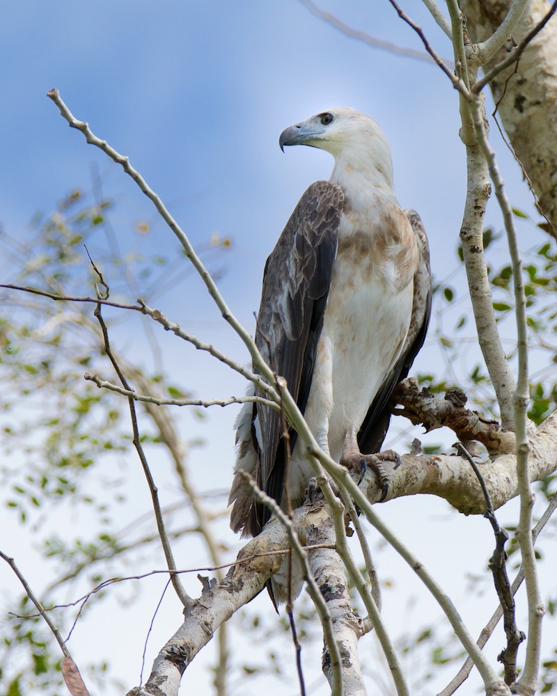 DSC_1137.jpg